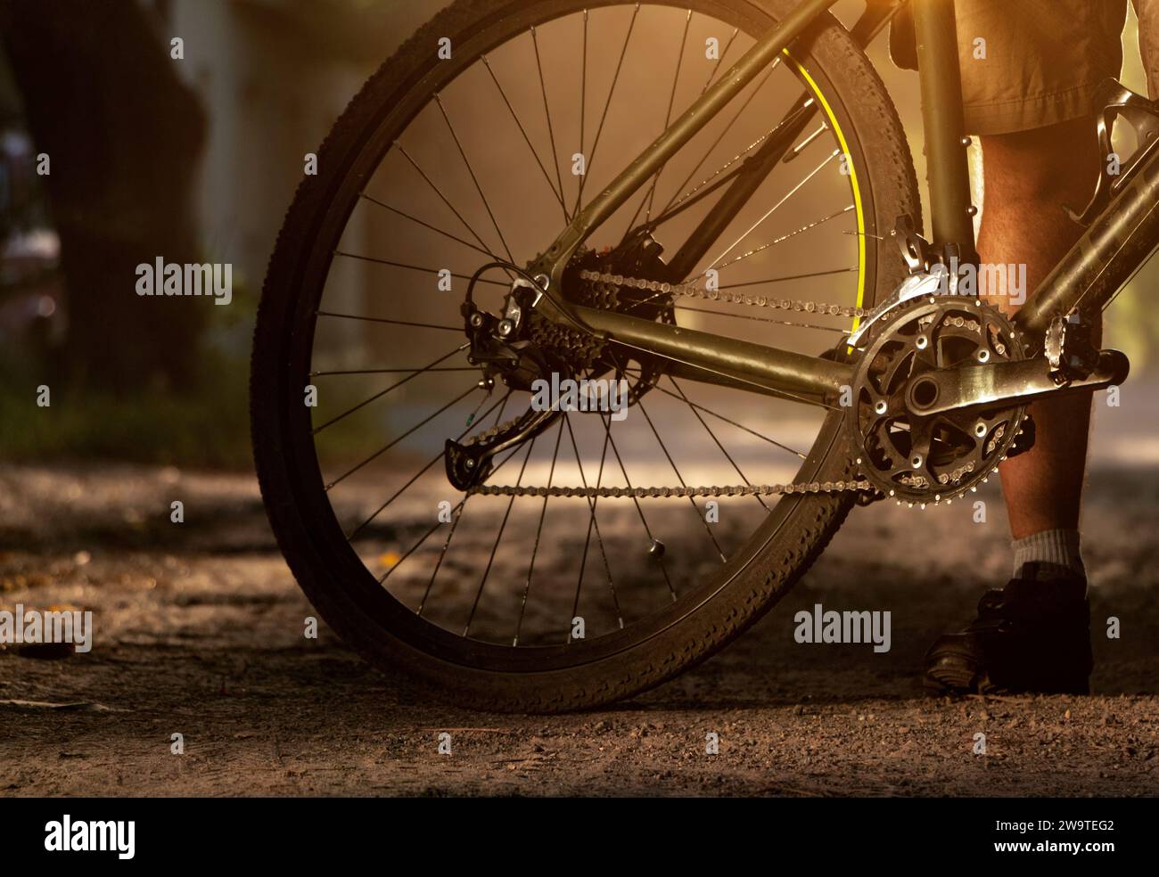 The guy with the bike in the backlight. The back of a gravel bike in ...