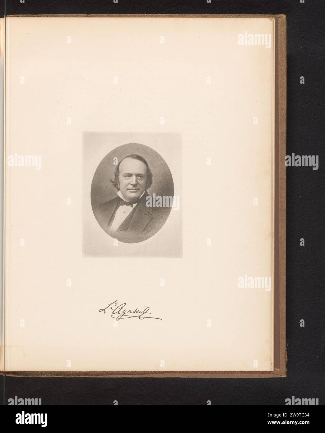 Auguste agassiz cheap