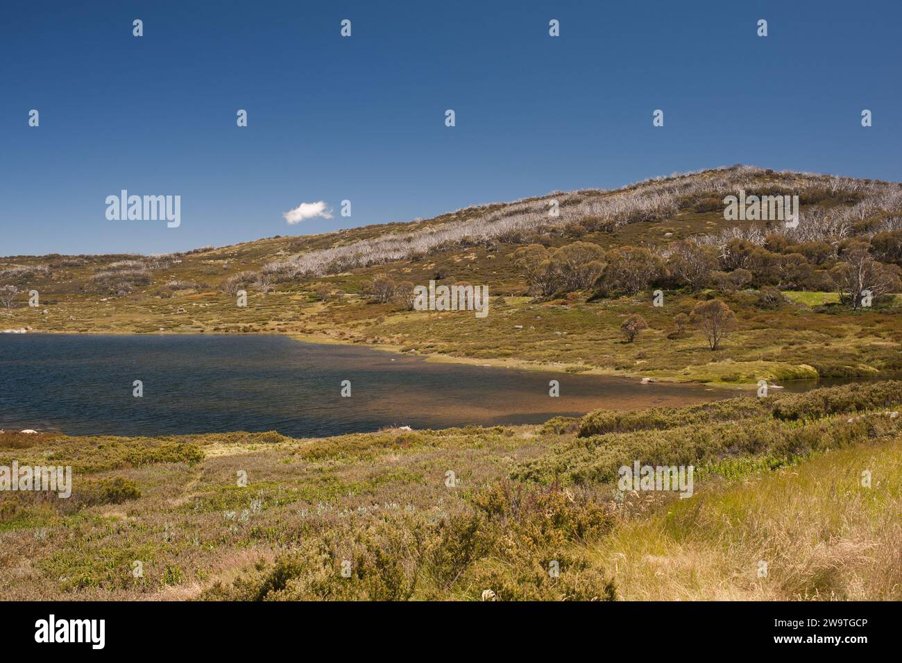 Snowfields australia hi-res stock photography and images - Alamy