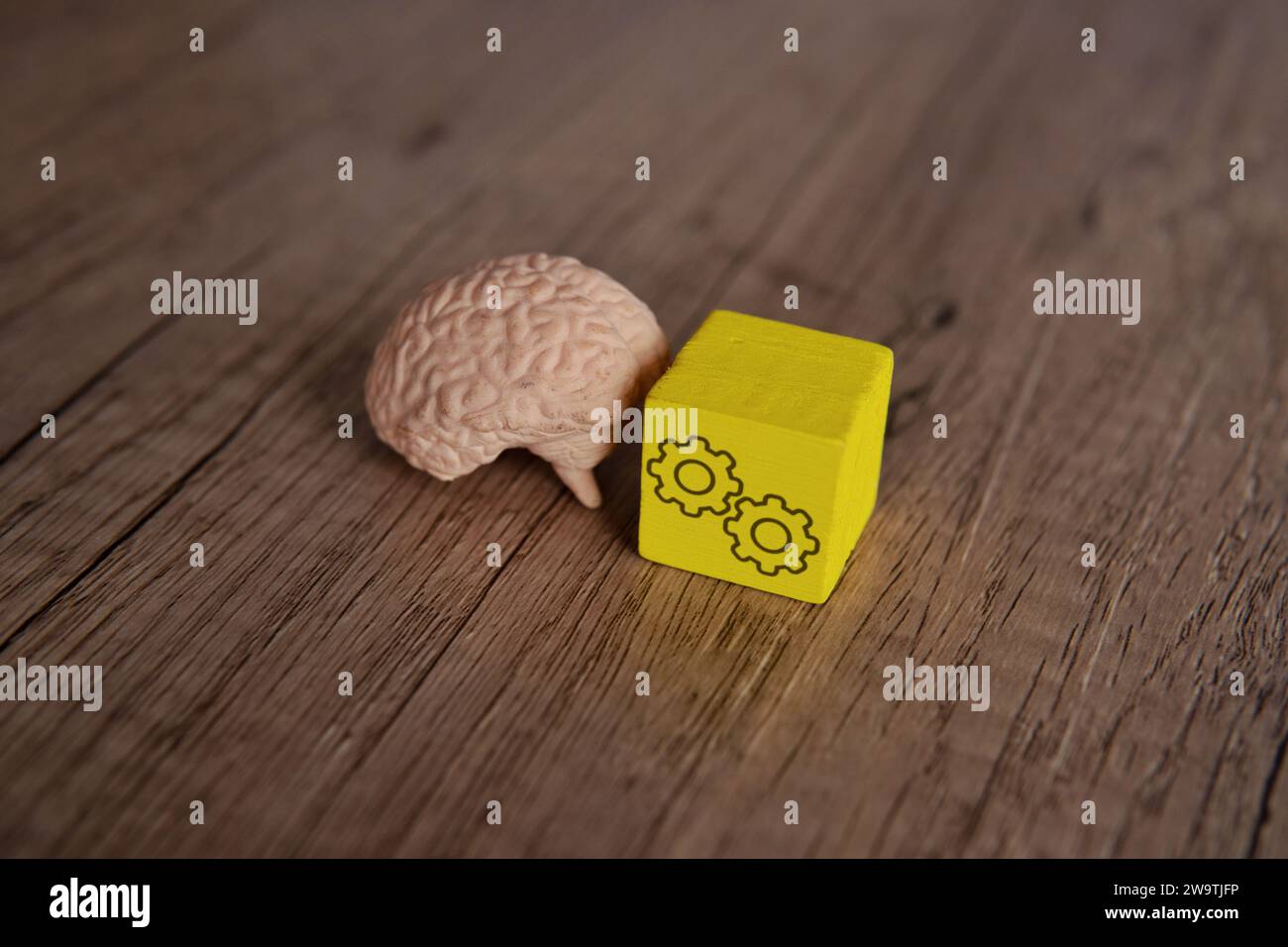 Human brain and wooden block with cogwheel icon. Cognitive thinking, brainstorming conceptual. Stock Photo