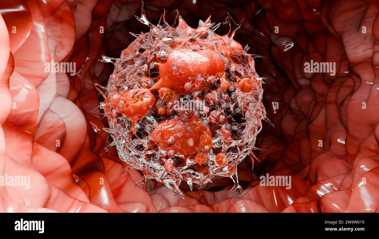Neutrophiles type Leukocyte cell, phagocytosis, white blood cells in vein, Neutrophil, medical human health, destruction of the virus and microb infec Stock Photo