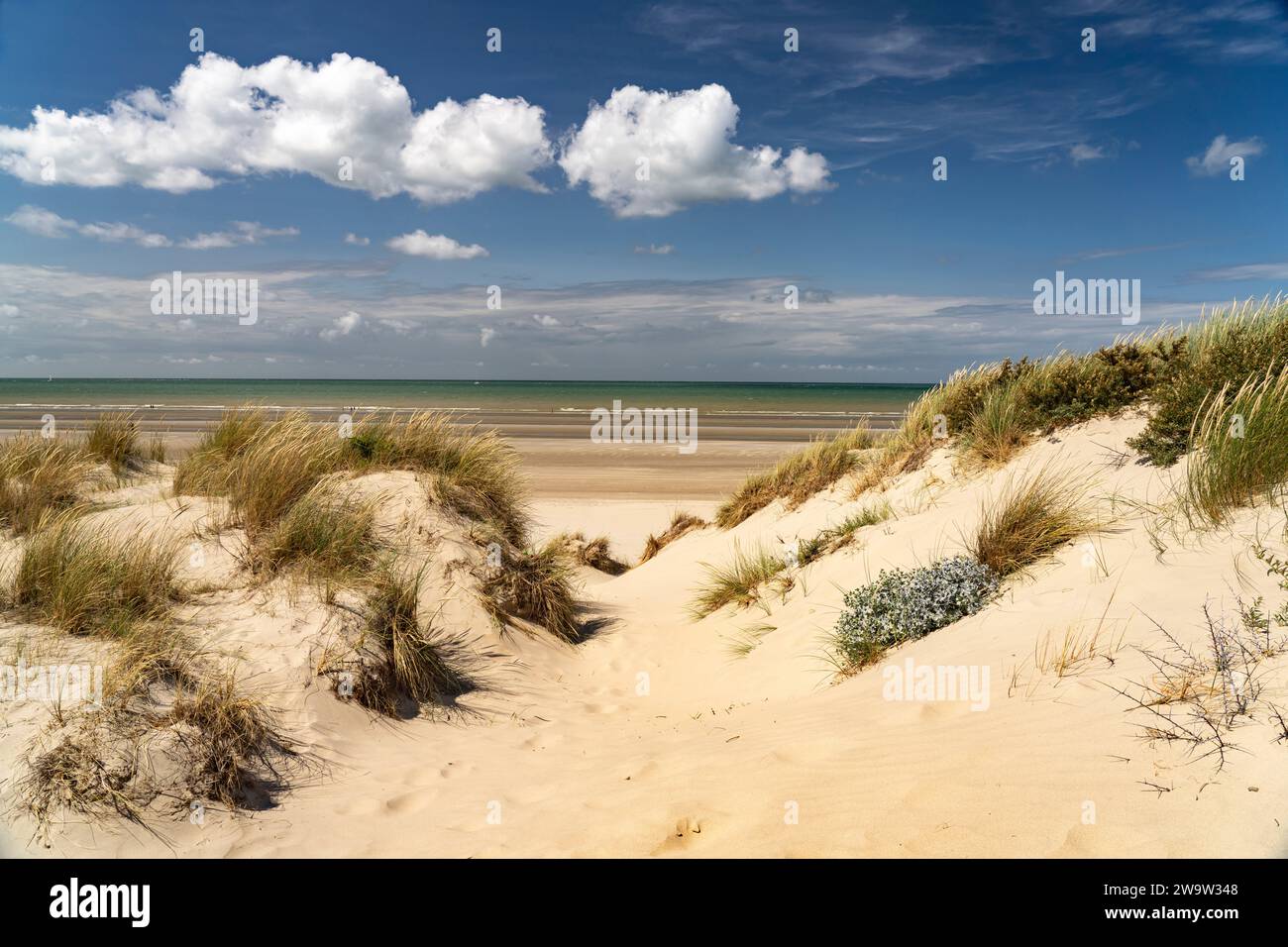 Duenen am Strand von Leffrinckoucke an der Côte d’Opale oder Opalküste, Frankreich  |  Leffrinckoucke beach dunes at the Opal Coast or Côte d'Opale, F Stock Photo
