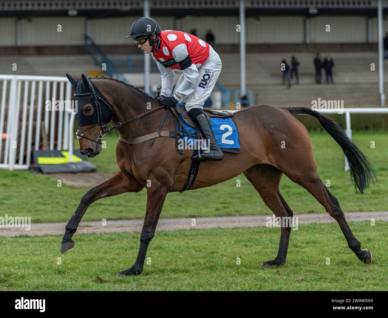 Briery Express, ridden by James Davies and trained by Noel Williams, races at Wincanton, March 10th 2022 Stock Photo