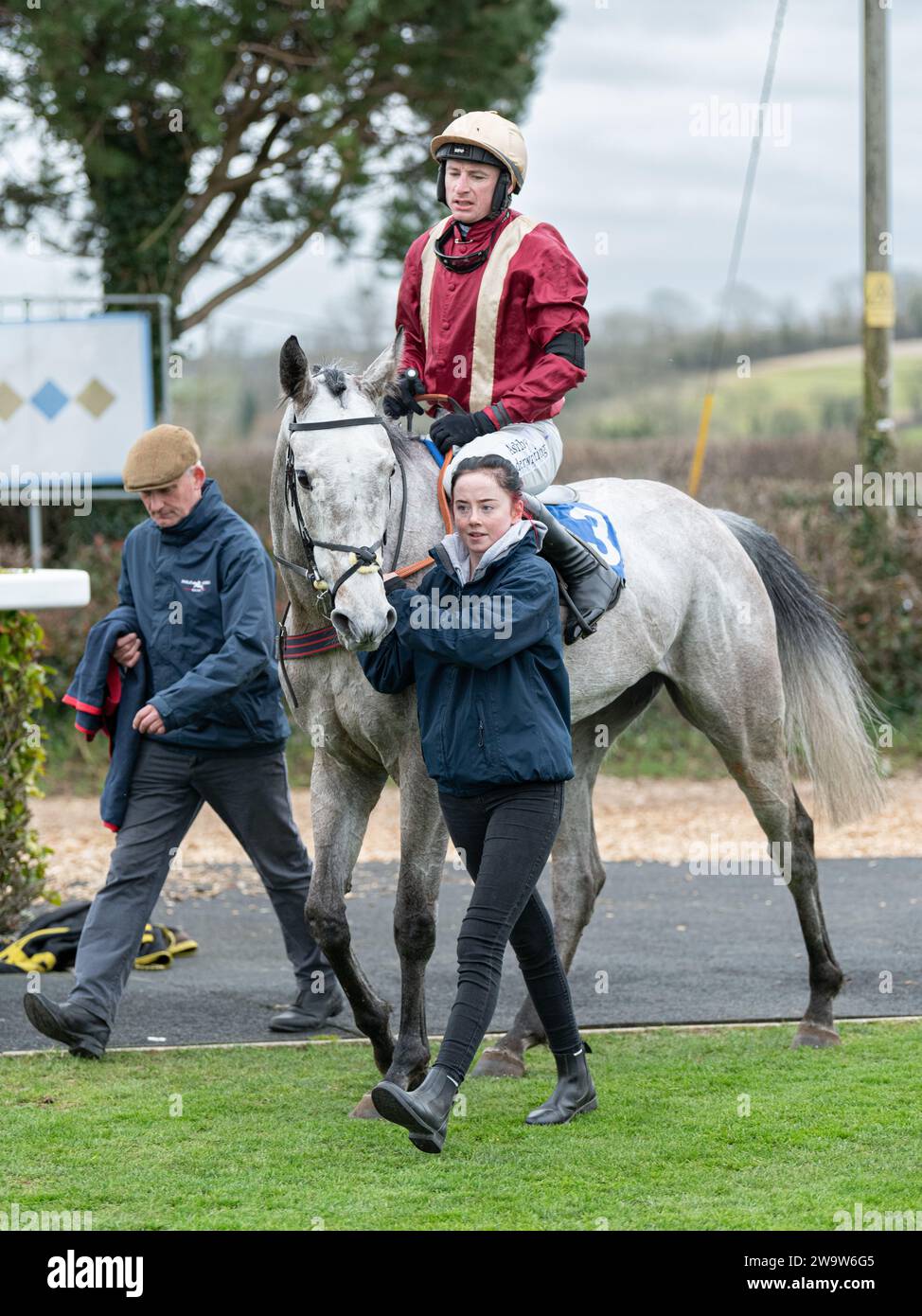 Chabichou Dupoitou running 3rd at Wincanton, ridden by Tom O'Brien and trained by Philip Hobbs, March 10th 2022 Stock Photo