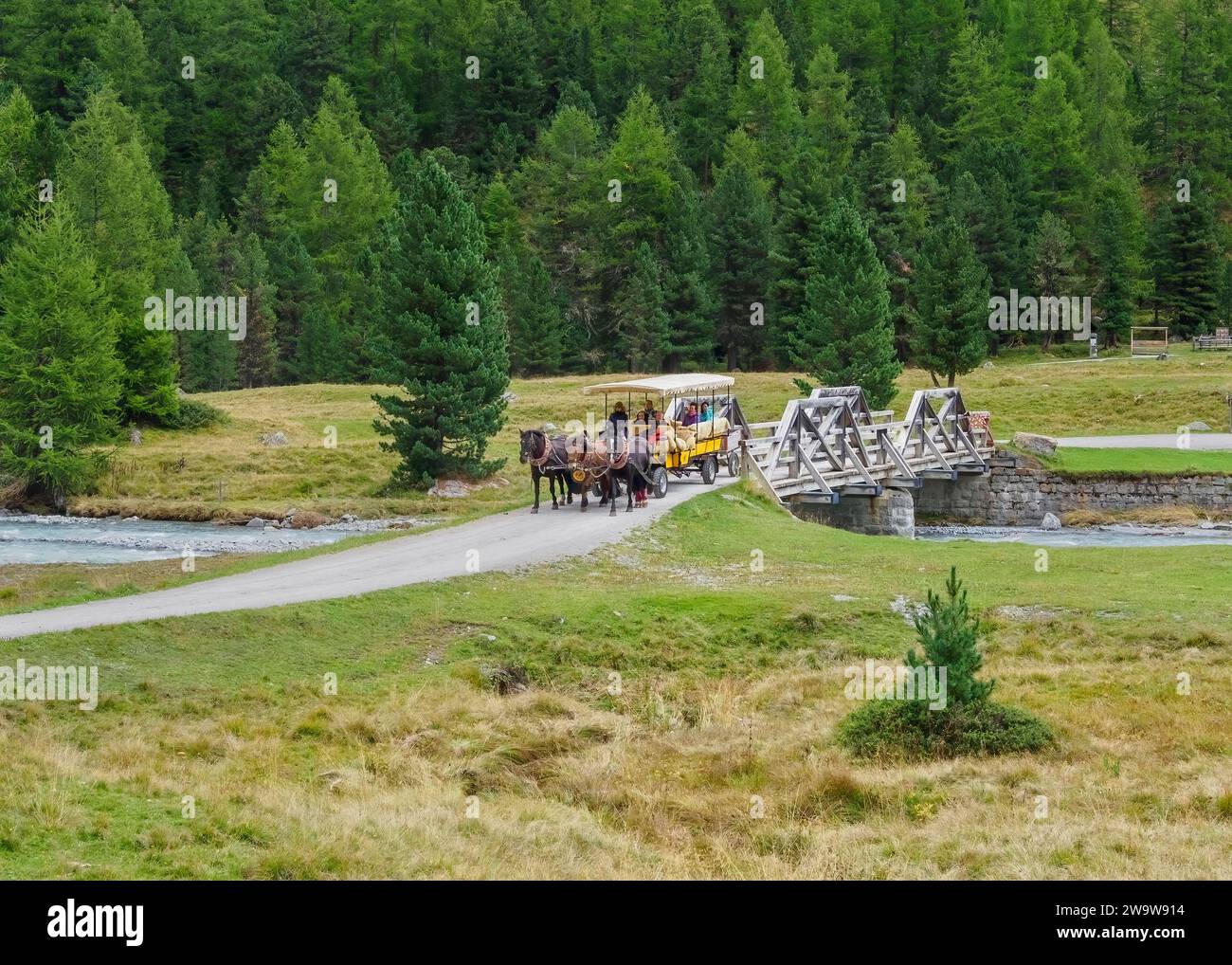 Horse and carriage ride in Val Roseg Engadin, GraubÃ¼nden, Switzerland Stock Photo