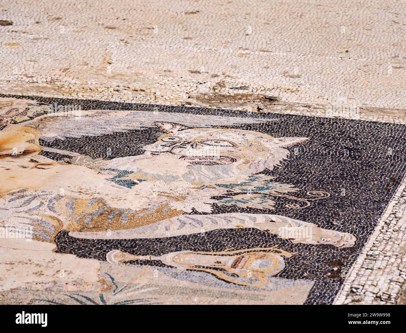 House of Dionysus, mosaic floor, Delos Archaeological Site, Delos Island, Cyclades, Greece Stock Photo