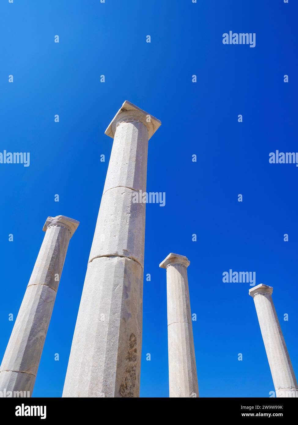 Delos Inscription Column Columns at House of Dionysus, Delos Archaeological Site, Delos Island ...