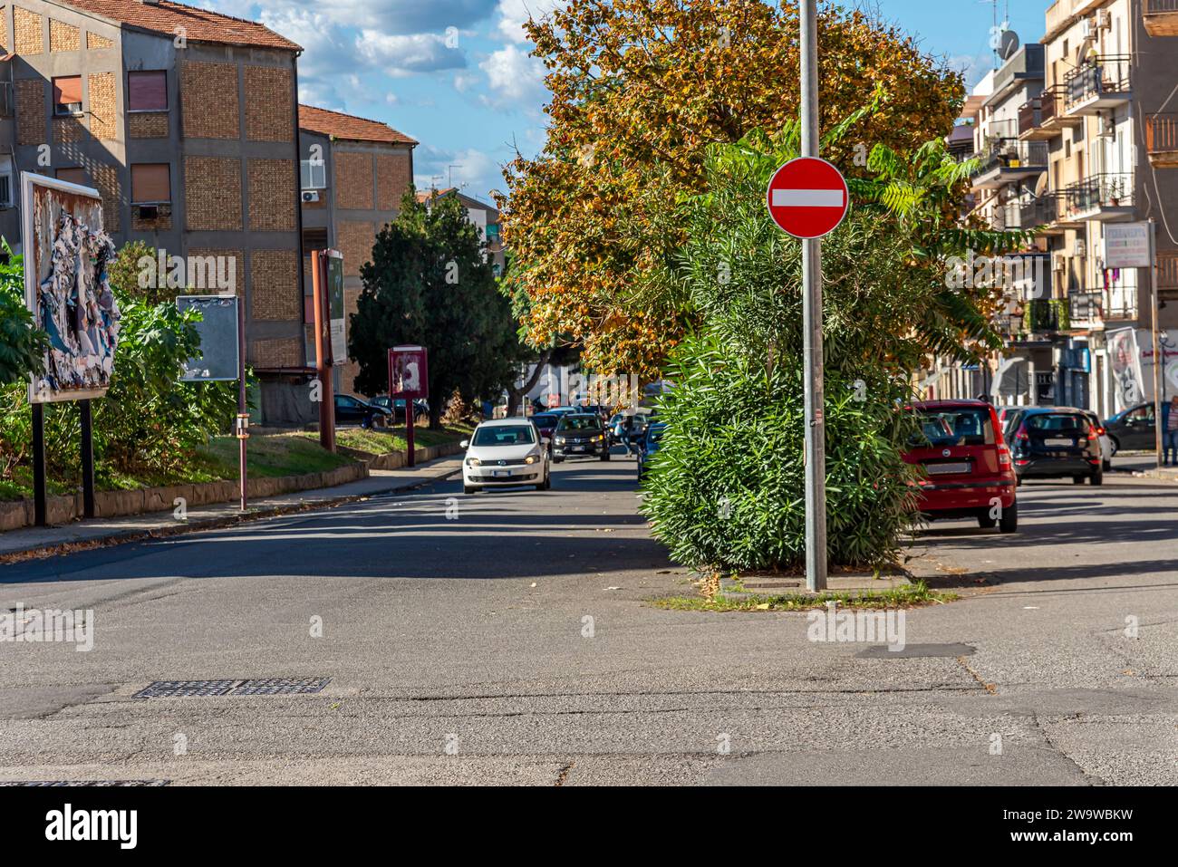 Tree-lined avenue with car traffic and no entry sign Stock Photo