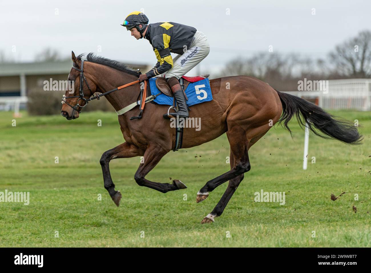 Could Talkaboutit, ridden by Brendan Powell and trained by Colin Tizzard, wins the handicap hurdle at Wincanton, March 10th 2022 Stock Photo