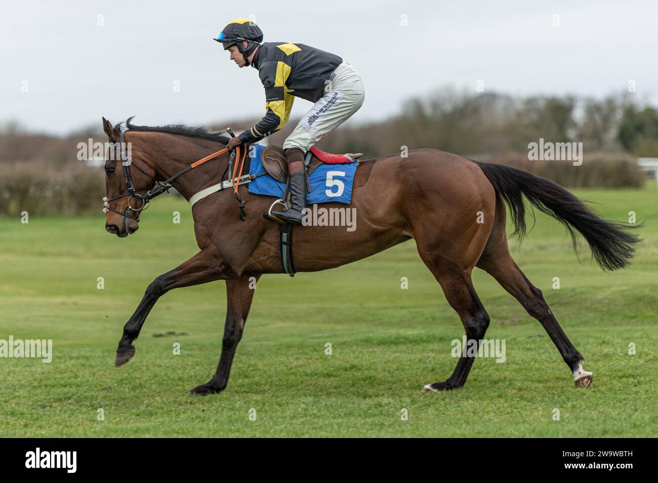 Could Talkaboutit, ridden by Brendan Powell and trained by Colin Tizzard, wins the handicap hurdle at Wincanton, March 10th 2022 Stock Photo