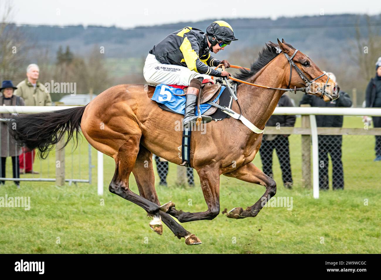 Could Talkaboutit, ridden by Brendan Powell and trained by Colin Tizzard, winning over hurdles at Wincanton, March 10th 2022 Stock Photo