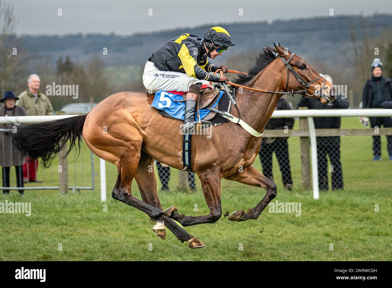 Could Talkaboutit, ridden by Brendan Powell and trained by Colin Tizzard, winning over hurdles at Wincanton, March 10th 2022 Stock Photo