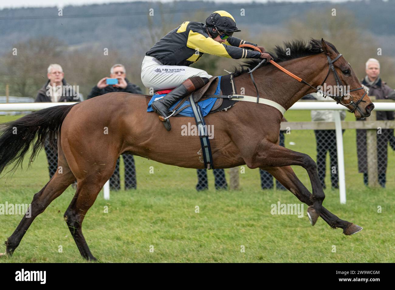 Could Talkaboutit, ridden by Brendan Powell and trained by Colin Tizzard, winning over hurdles at Wincanton, March 10th 2022 Stock Photo