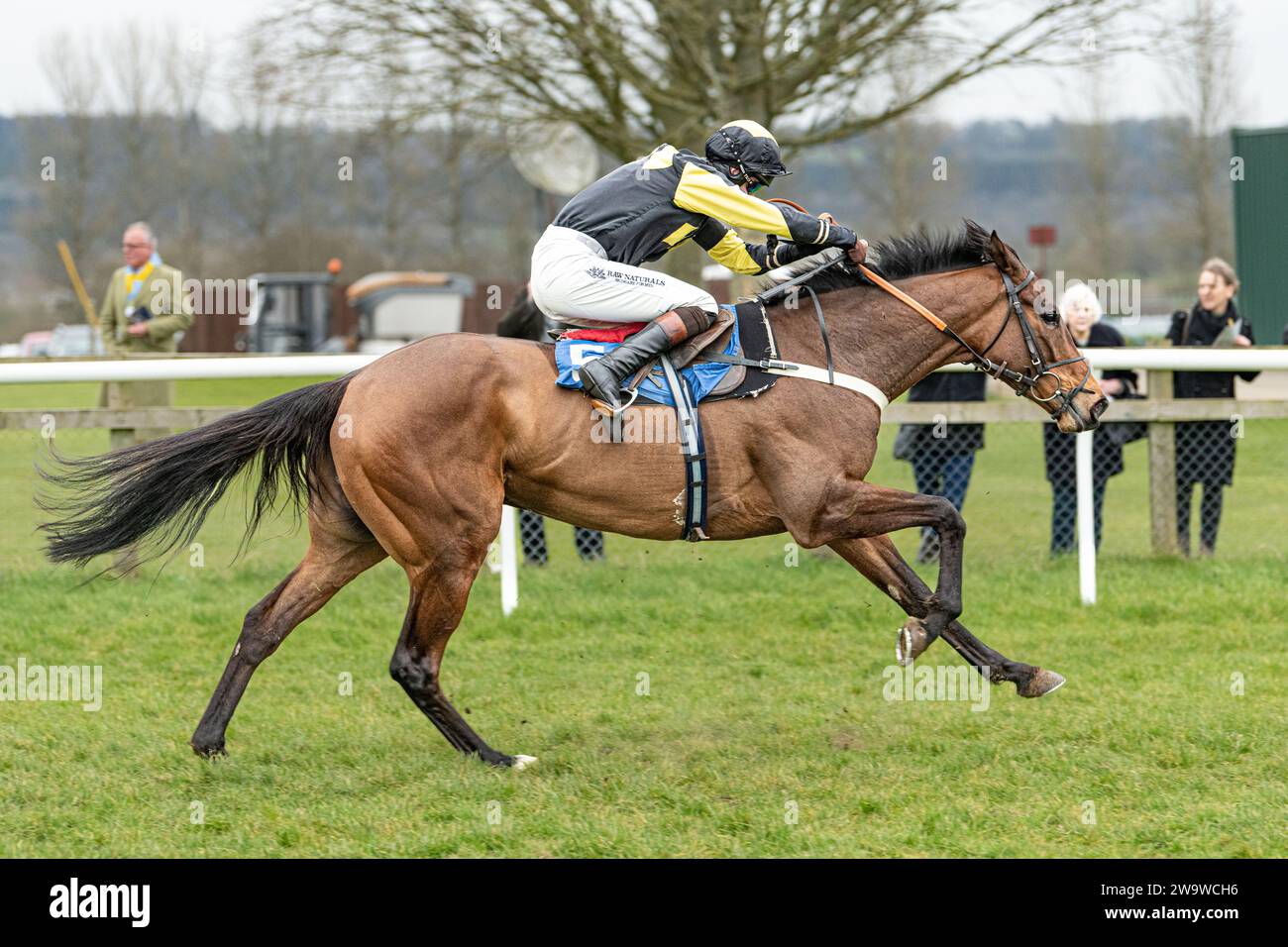 Could Talkaboutit, ridden by Brendan Powell and trained by Colin Tizzard, wins the handicap hurdle at Wincanton, March 10th 2022 Stock Photo