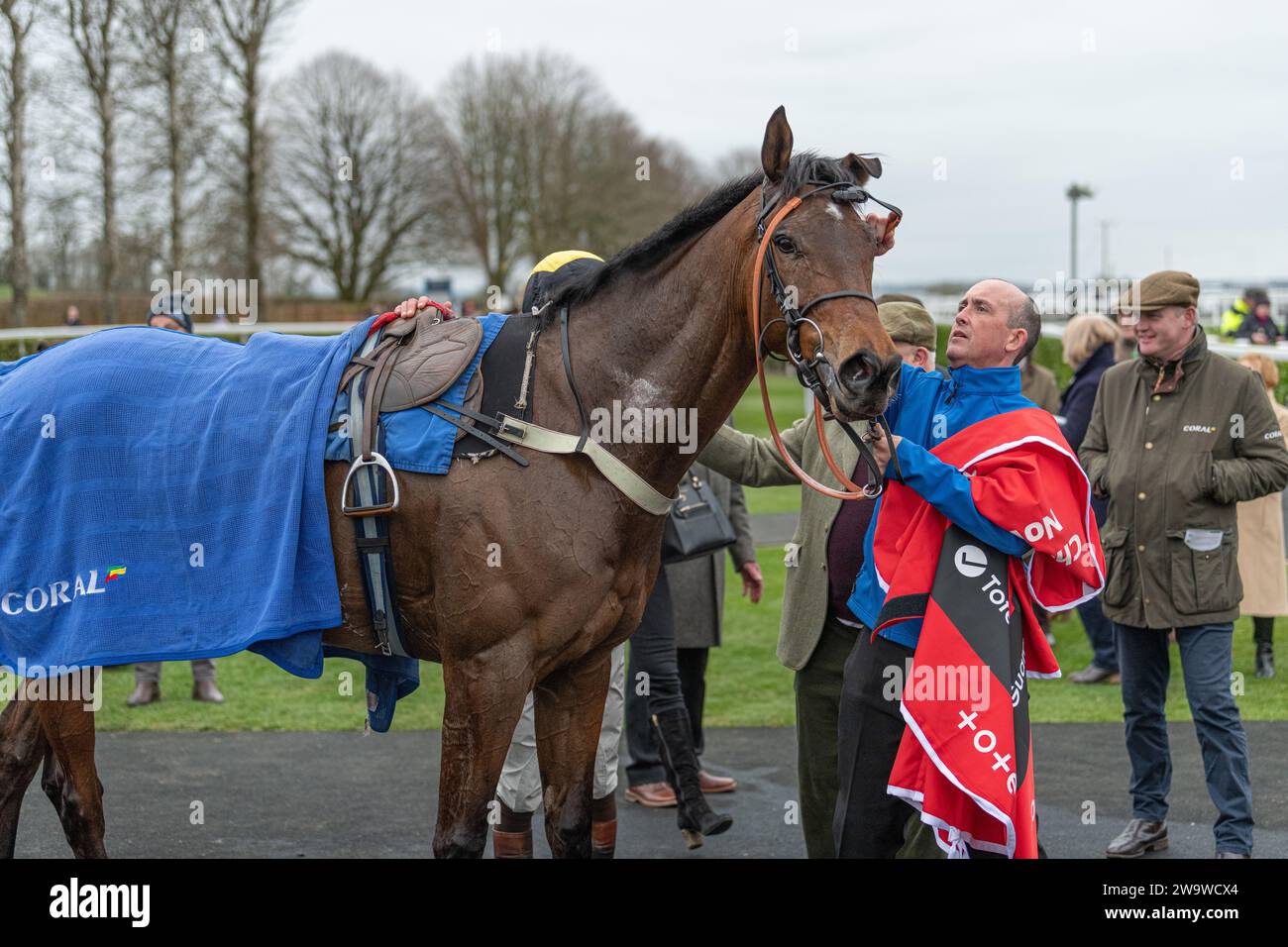 Could Talkaboutit, ridden by Brendan Powell and trained by Colin Tizzard, wins the handicap hurdle at Wincanton, March 10th 2022 Stock Photo