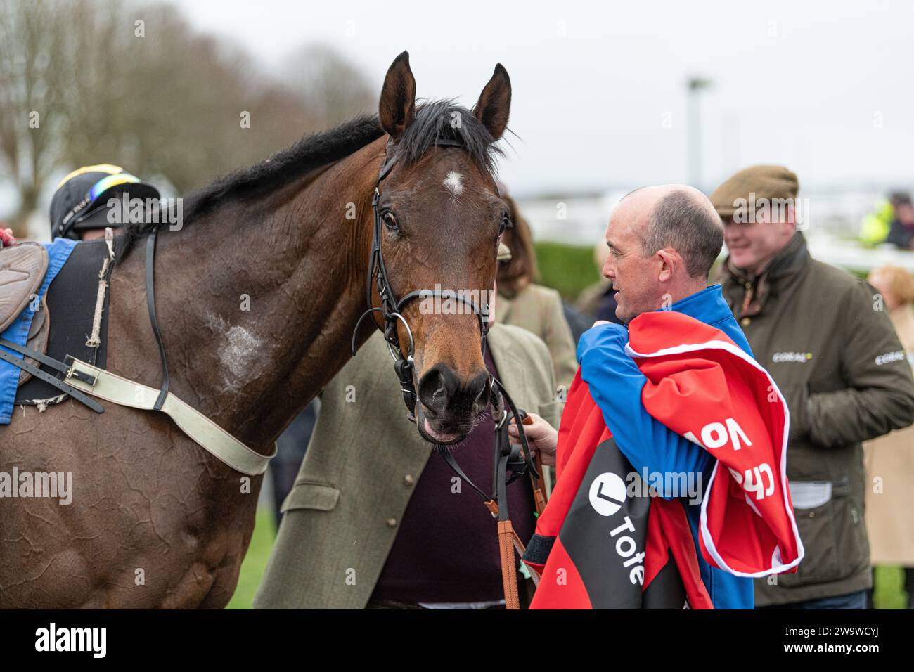 Could Talkaboutit, ridden by Brendan Powell and trained by Colin Tizzard, wins the handicap hurdle at Wincanton, March 10th 2022 Stock Photo