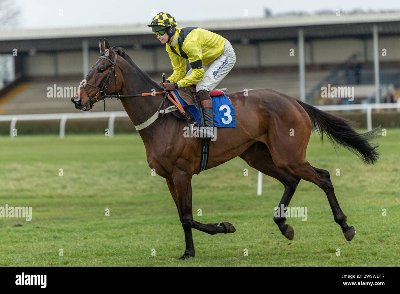 Bold Conduct, ridden by Brendan Powell and trained by Colin Tizzard, racing at Wincanton, March 10th 2022 Stock Photo