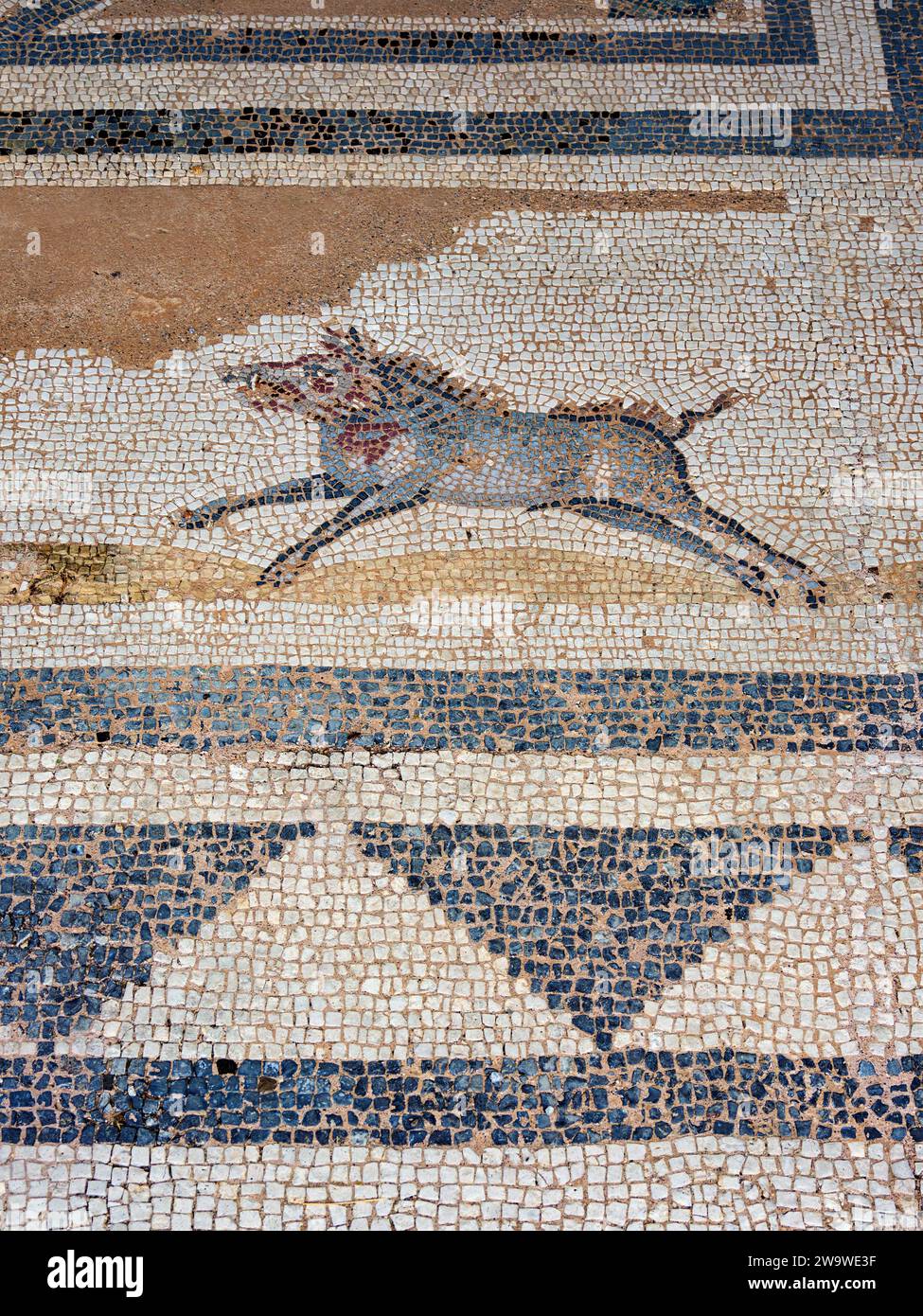 Mosaic Floor at Western Archaeological Zone, Kos Town, Kos Island, Dodecanese, Greece Stock Photo