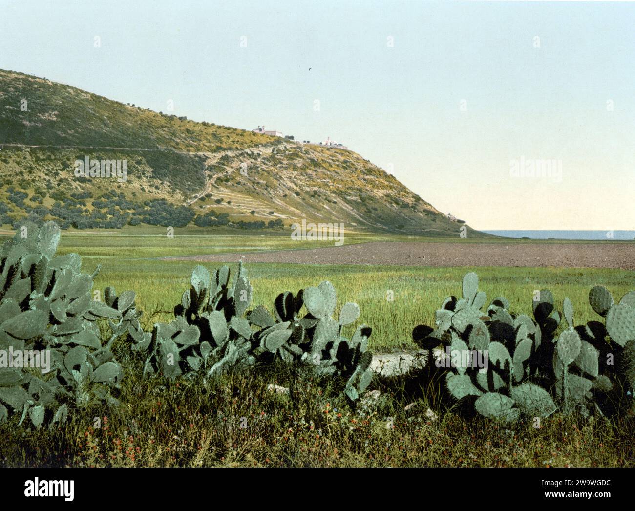 Gesamtansicht des Berges Karmel, Heiliges Land, Israel, um 1890, Historisch, digital restaurierte Reproduktion von einer Vorlage aus dem 19. Jahrhundert  /  General view of Mount Carmel, Holy Land, Israel, 1890, Historic, digitally restored reproduction from a 19th century original Stock Photo