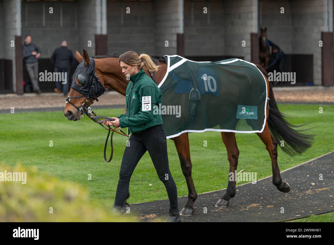 Lamanver bel ami racing over hurdles hires stock photography and