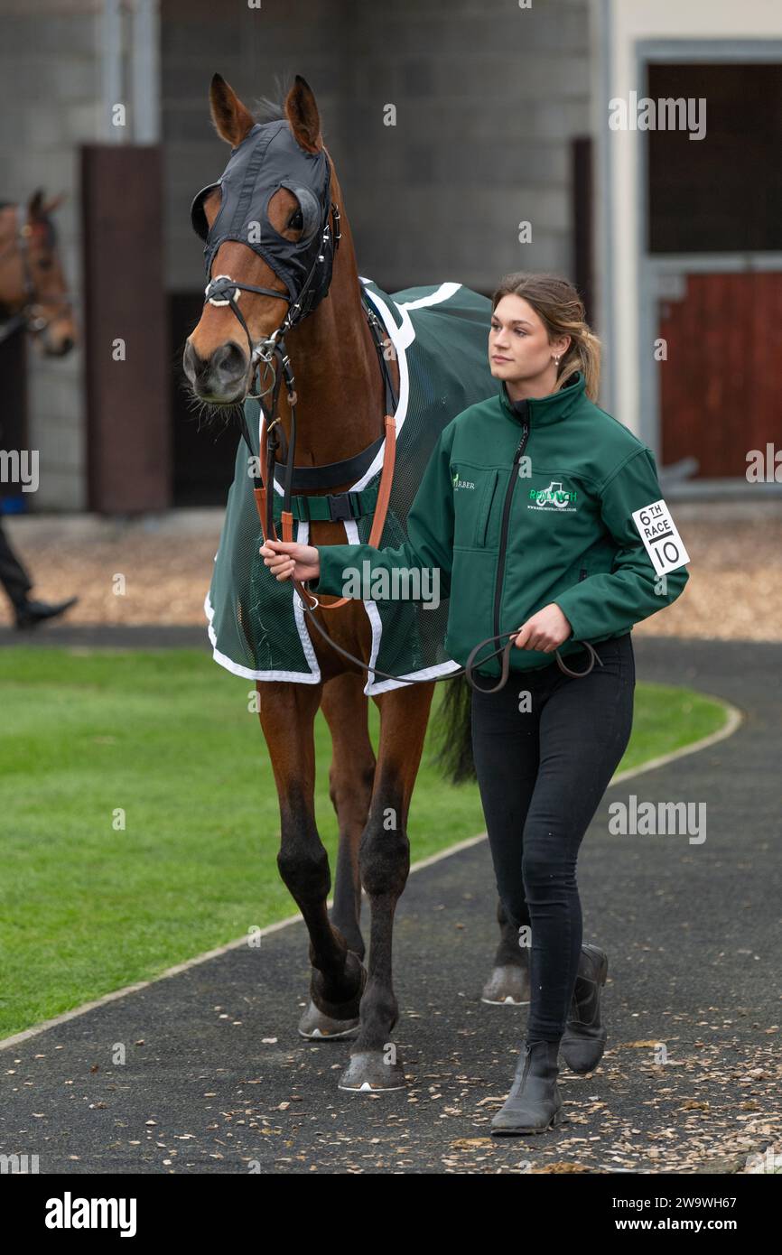 Lamanver bel ami racing over hurdles hires stock photography and