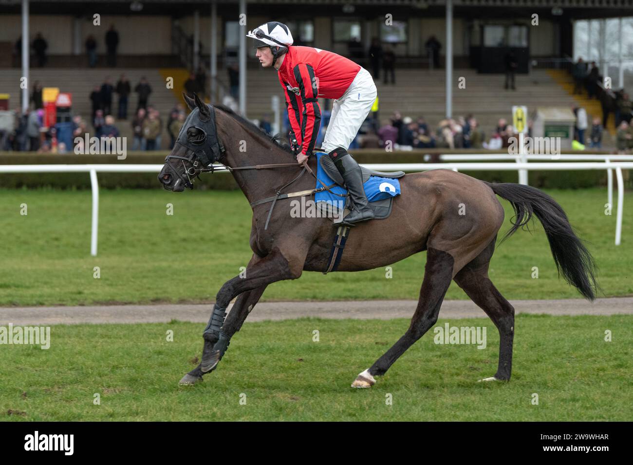 David pipe trained django hires stock photography and images Alamy