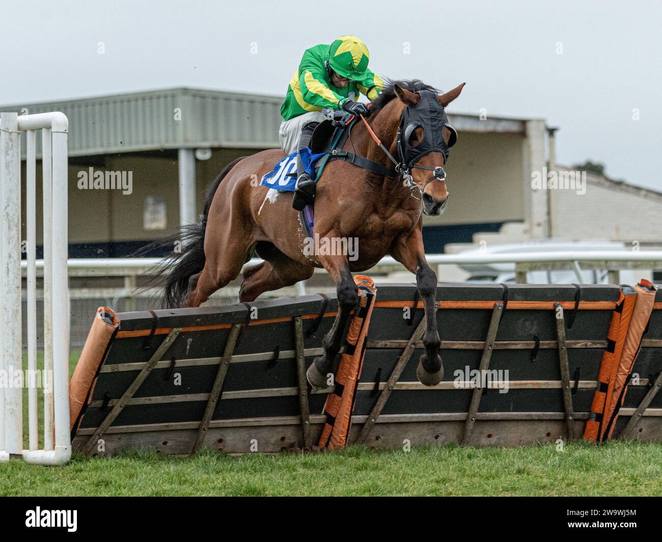 Lamanver bel ami racing over hurdles hires stock photography and