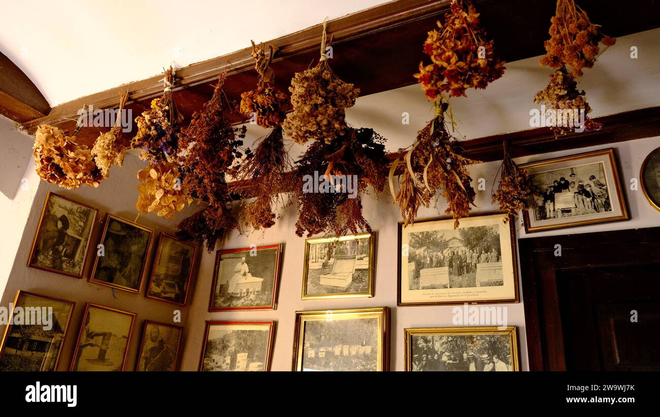 honey museum in a town in Navarra Stock Photo Alamy