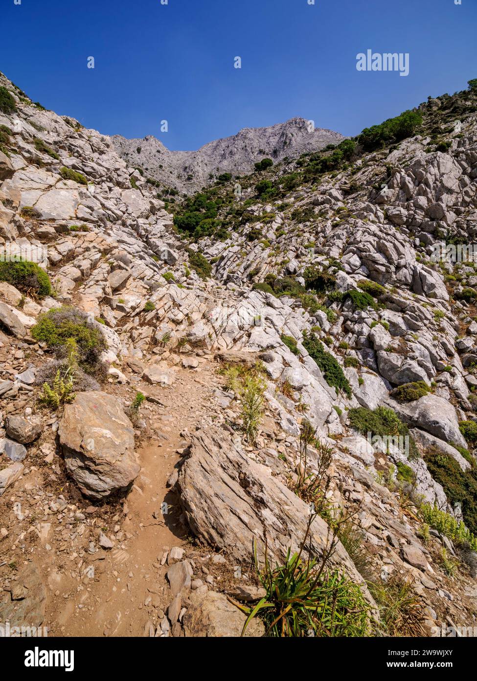 Trail to Mount Zas or Zeus, Naxos Island, Cyclades, Greece Stock Photo