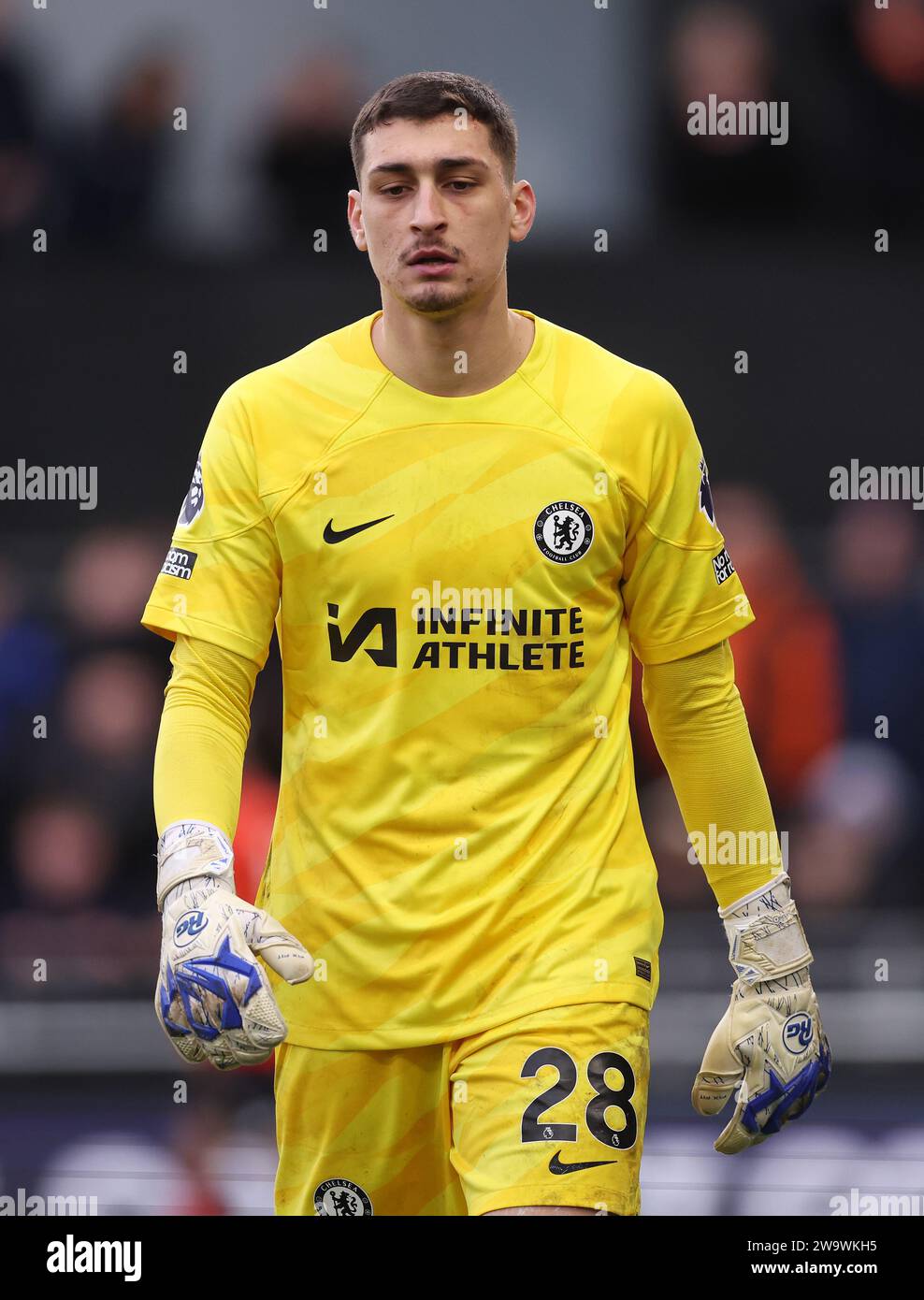 Luton, UK. 30th Dec, 2023. Djordje Petrovic of Chelsea during the