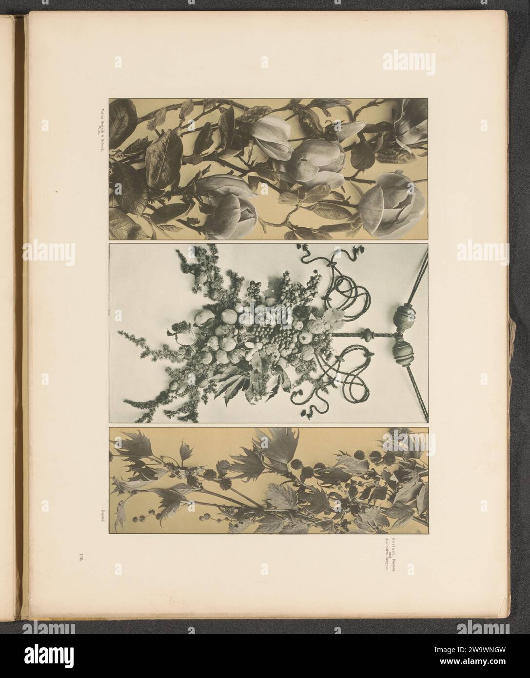 Festoon of fruit and flowers hires stock photography and images Alamy