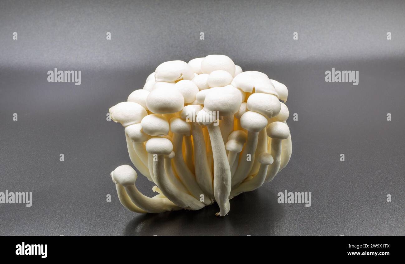 studio shoot of Chinese enoki mushrooms closeup against black Stock Photo