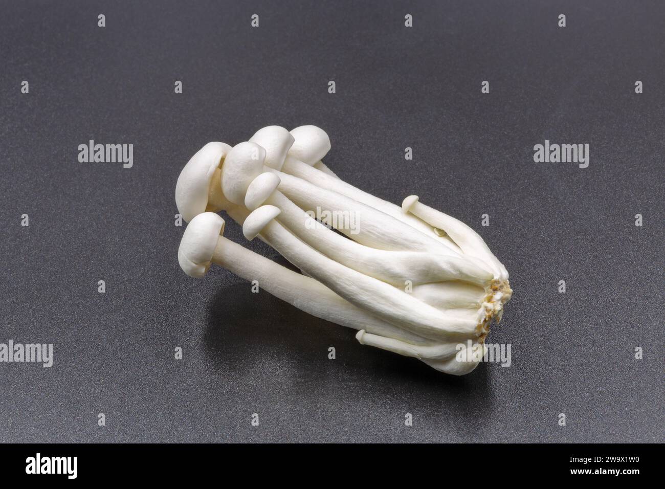 studio shoot of Chinese enoki mushrooms closeup against black Stock