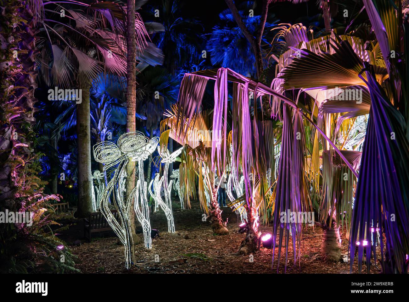 Miami, Florida December 29, 2023 Fairchild Tropical Botanical Garden