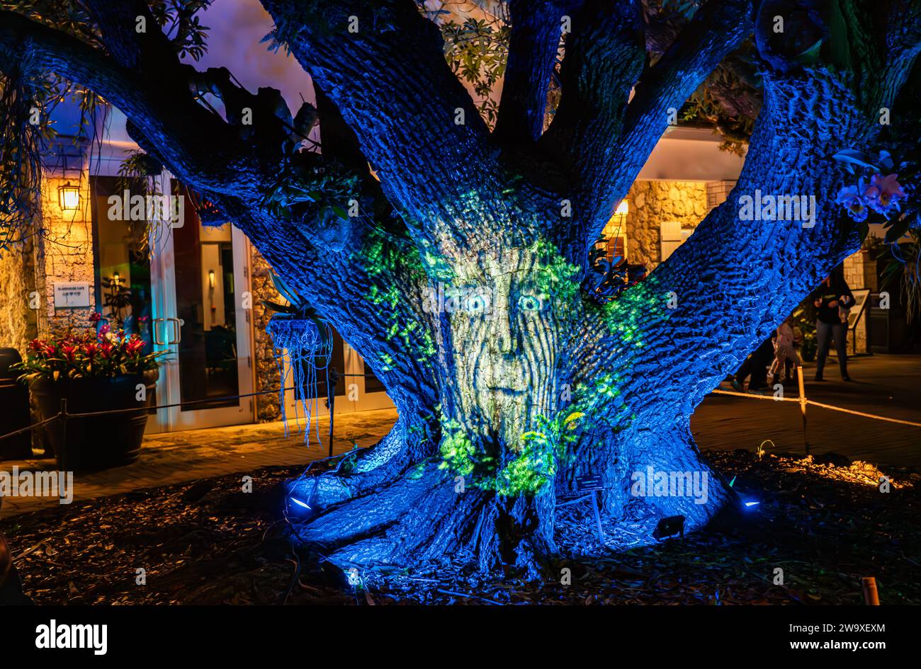 Miami, Florida - December 29, 2023: Fairchild Tropical Botanical Garden: Night Garden, A Magical Light Fairy Tale Experience. Stock Photo