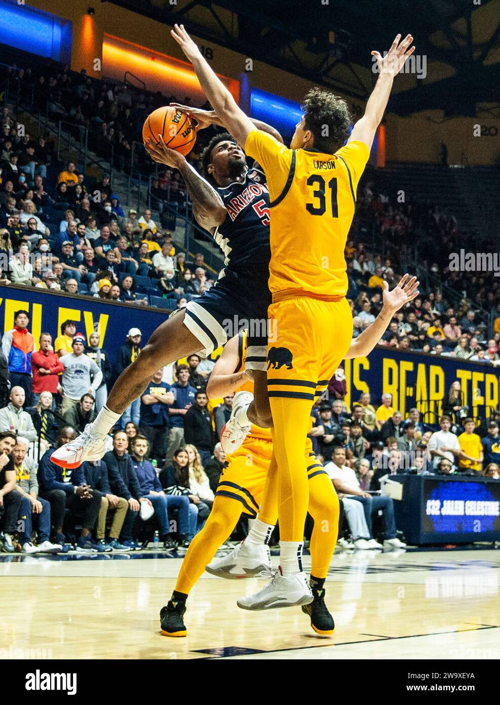 Haas Pavilion Berkeley Calif, USA. 29th Dec, 2023. CA U.S.A. Arizona ...