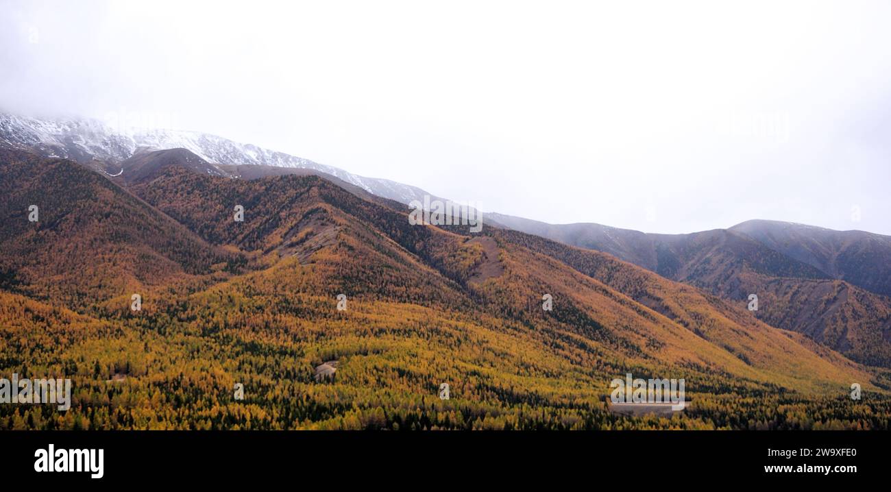 A wide valley at the foot of a high mountain with snow-capped peaks and clouds at the top. Severo-Chuysky Range, Altai, Siberia, Russia. Stock Photo