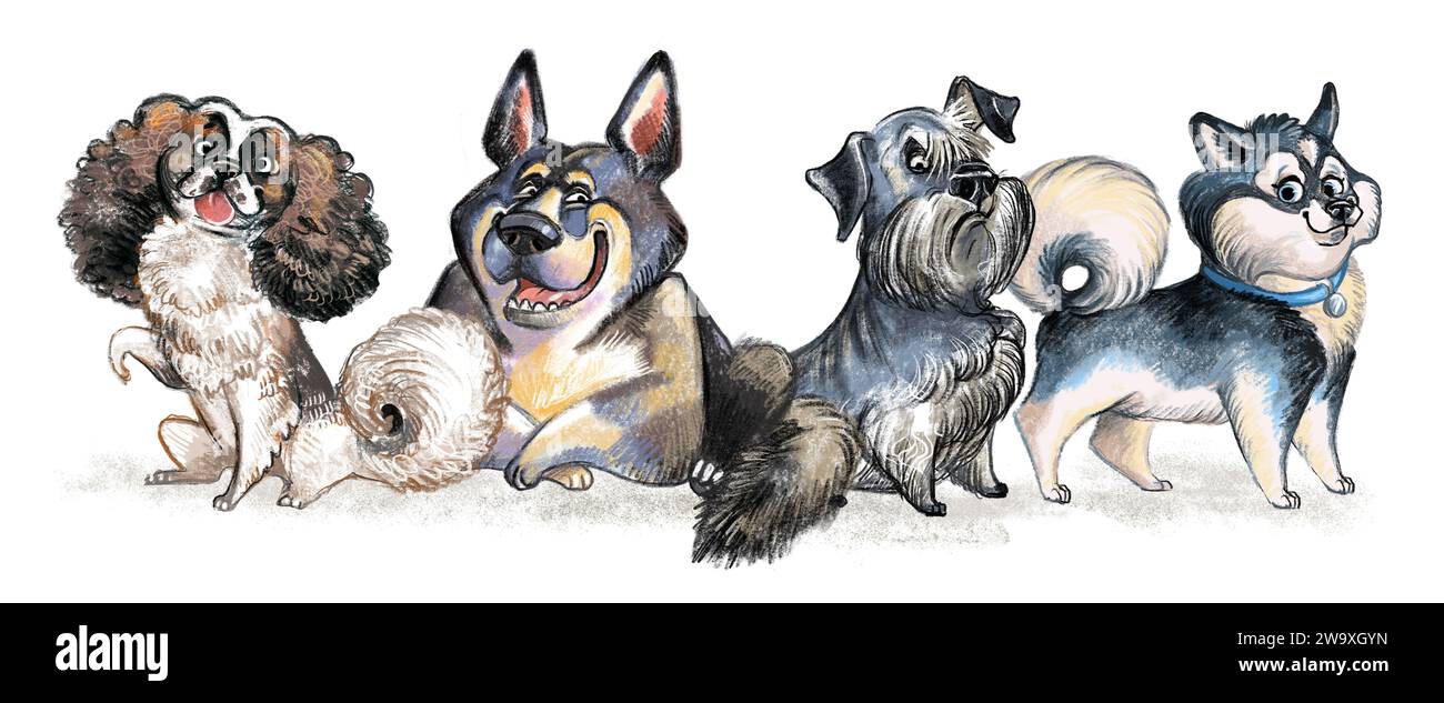 Cute funny cartoon dogs pet characters. Different breeds doggy illustration. Furry human friends home animals. For print, design, stickers, t shirt an Stock Photo