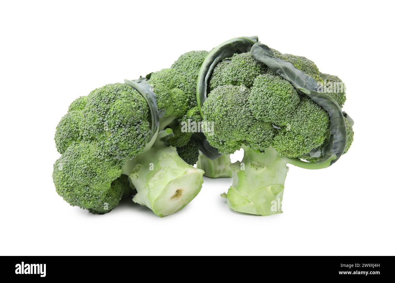 Fresh raw green broccoli isolated on white Stock Photo