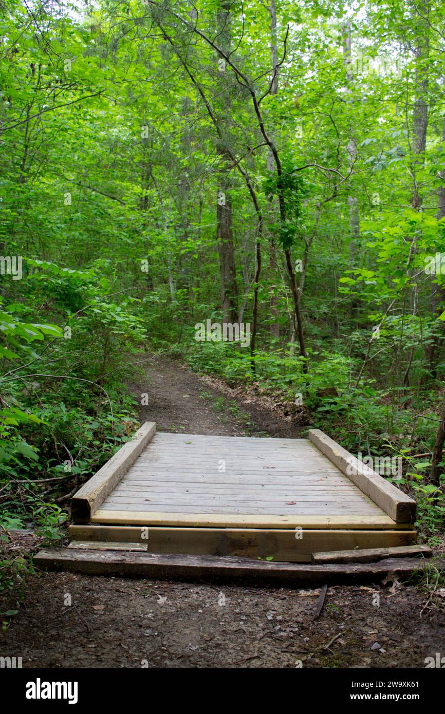 A small wooden footbridge across a creek on a hiking trail path Stock ...
