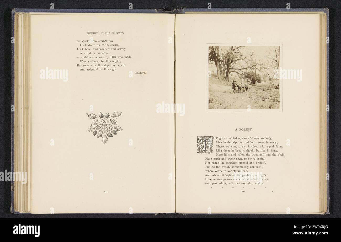 Photographie Ancienne Sur Papier Albumen Vers 1860 - Possible Couverture William Morris And Company