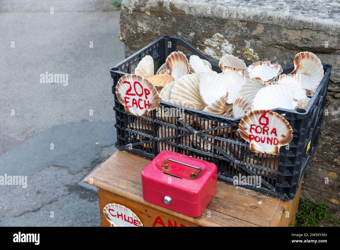 Fowey in Cornwall, a port fishing town on the south coast of England, sea shells for sale at 20 pence each or 6 for one pound with red honesty box Stock Photo