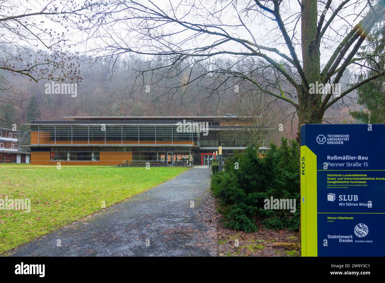 Tharandt: Roßmäßler-Bau of TU Dresden, Department of Forestry Sciences in , Sachsen, Saxony, Germany Stock Photo