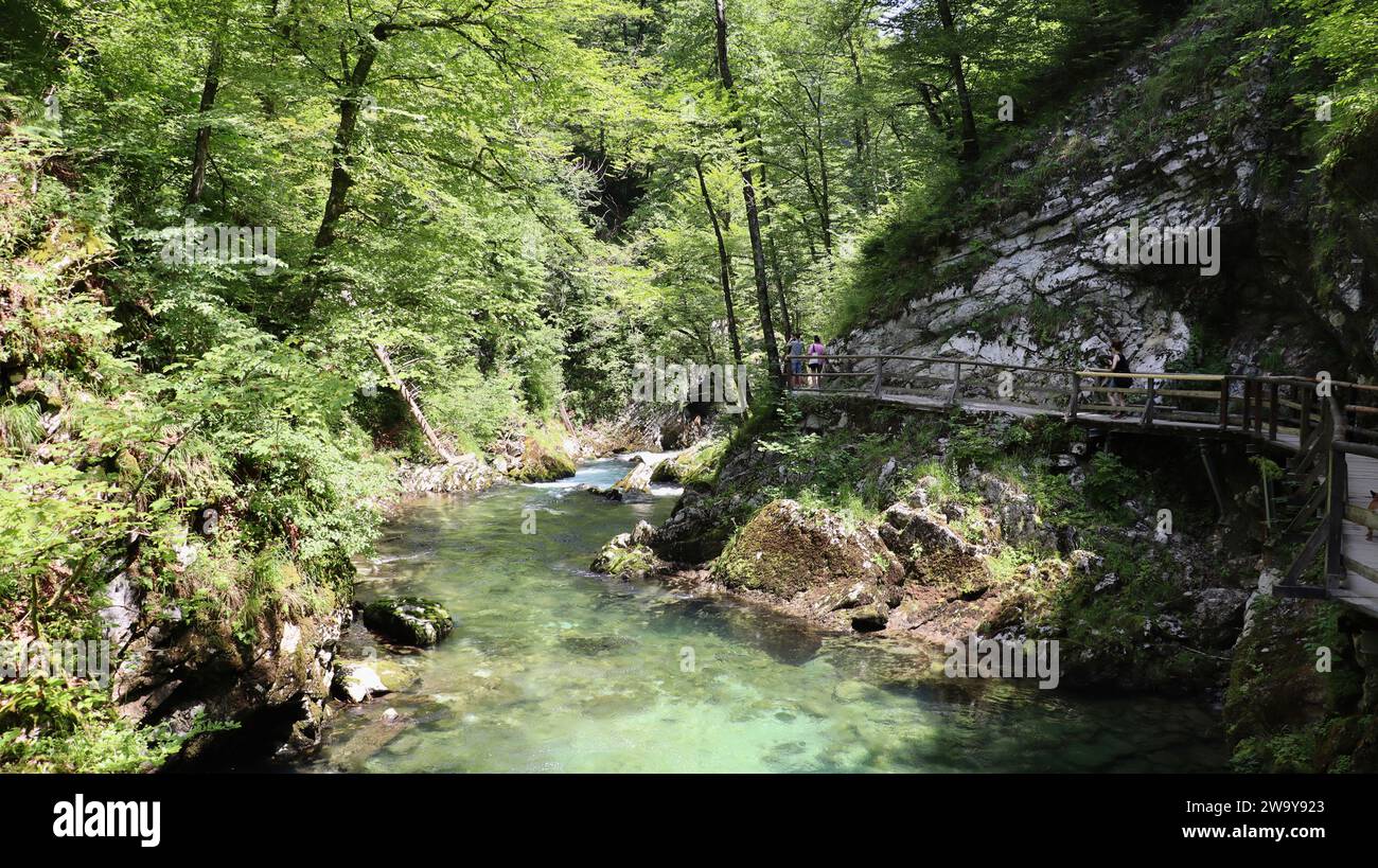 photo Vintgar gorge, Soteska Vintgar Slovenia Europe Stock Photo