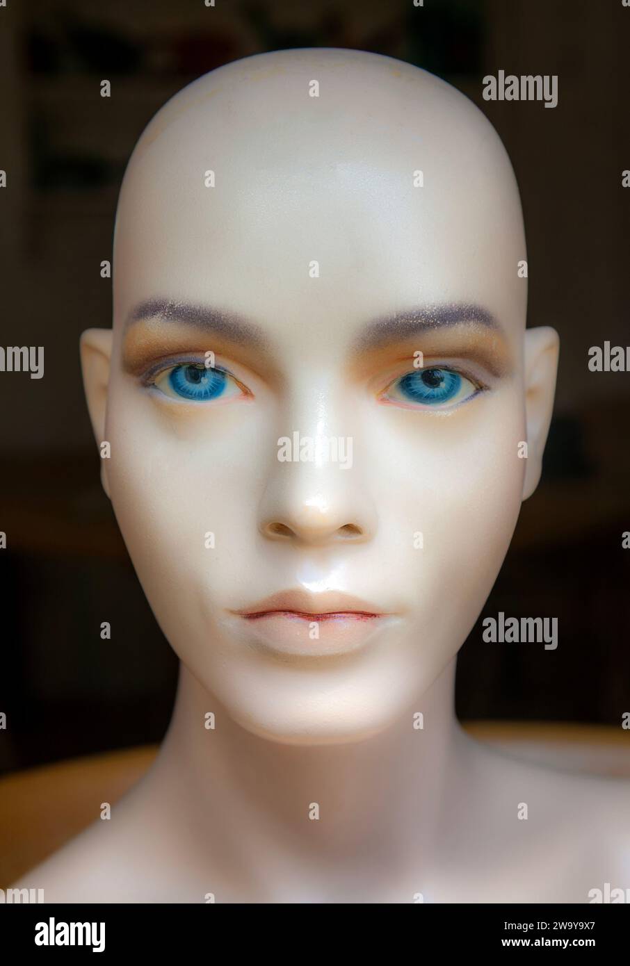 Female mannequin face doll model woman bald blue eyes closeup Stock
