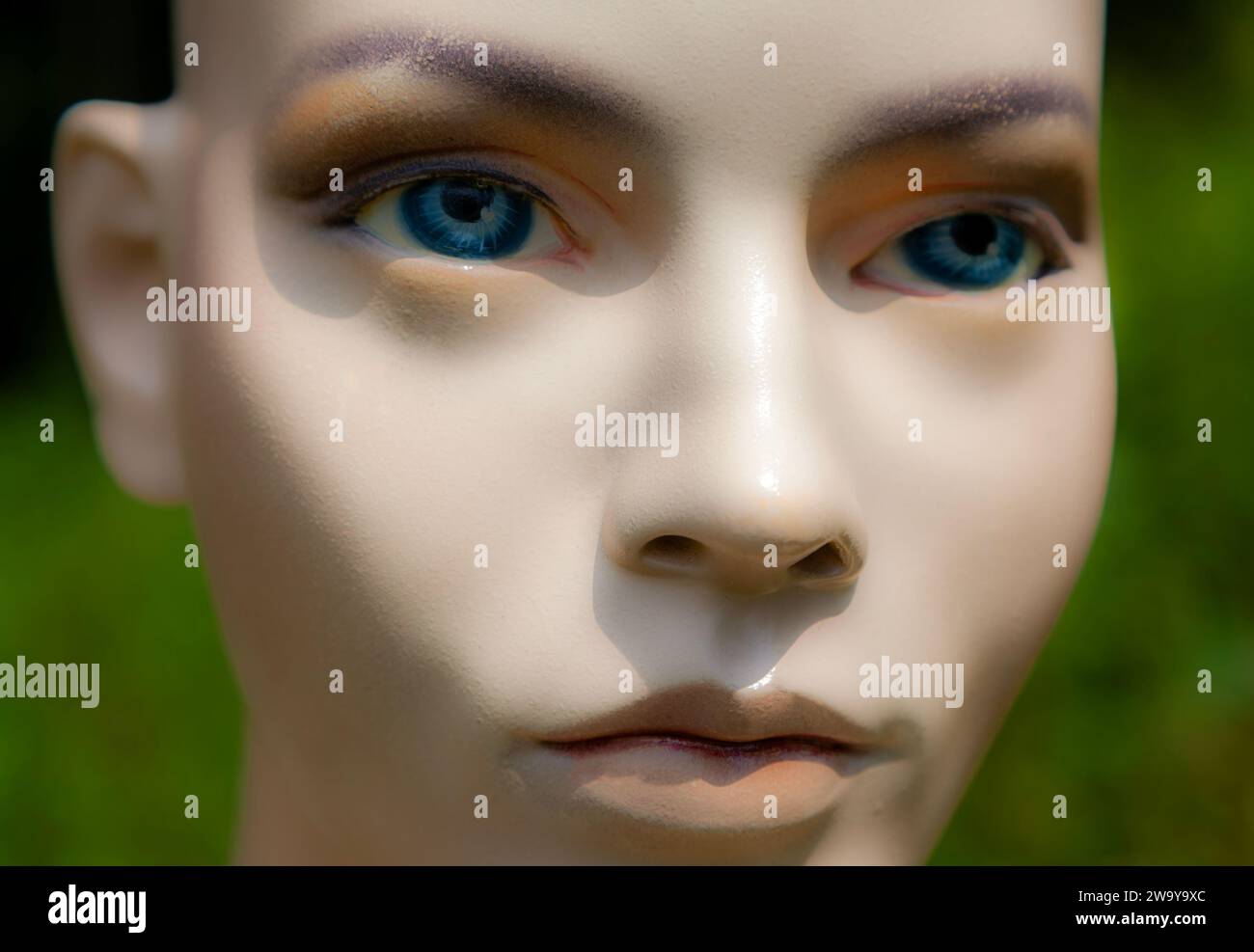 Female mannequin face doll model woman bald blue eyes closeup Stock