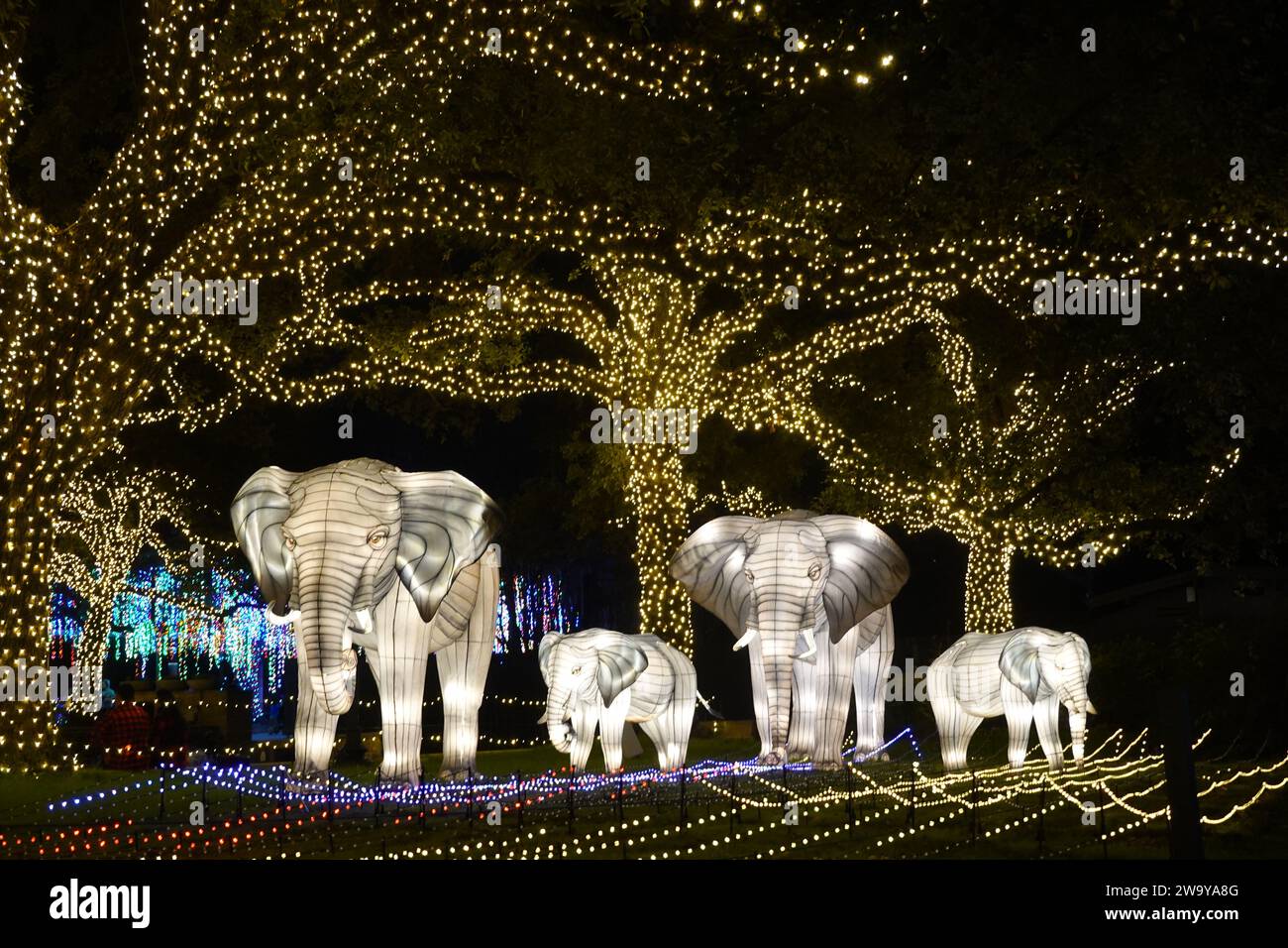 (231231) HOUSTON, Dec. 31, 2023 (Xinhua) This photo taken on Dec