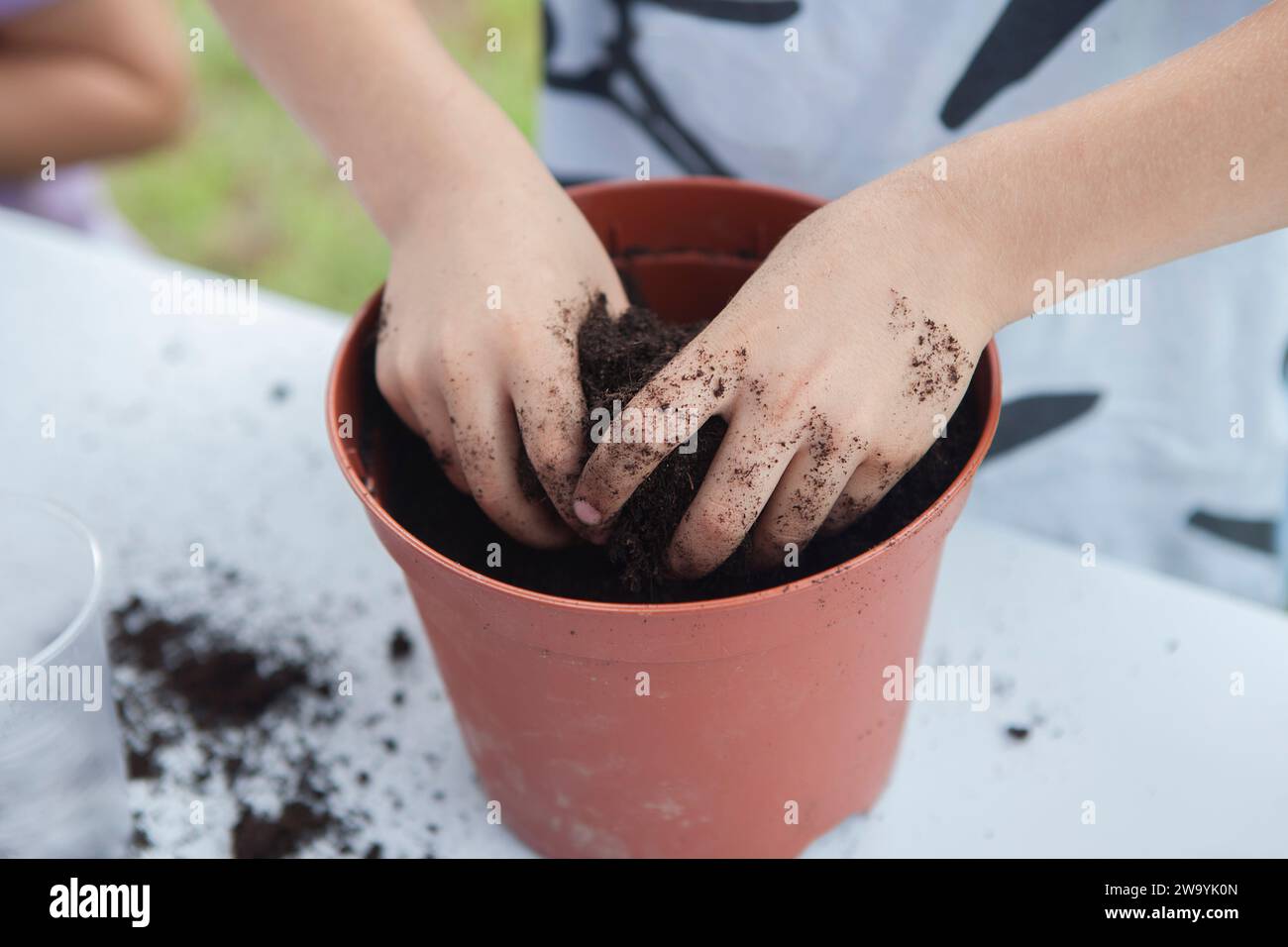 Grass heads workshop for children. Kid hands mixing seeds and compost Stock Photo