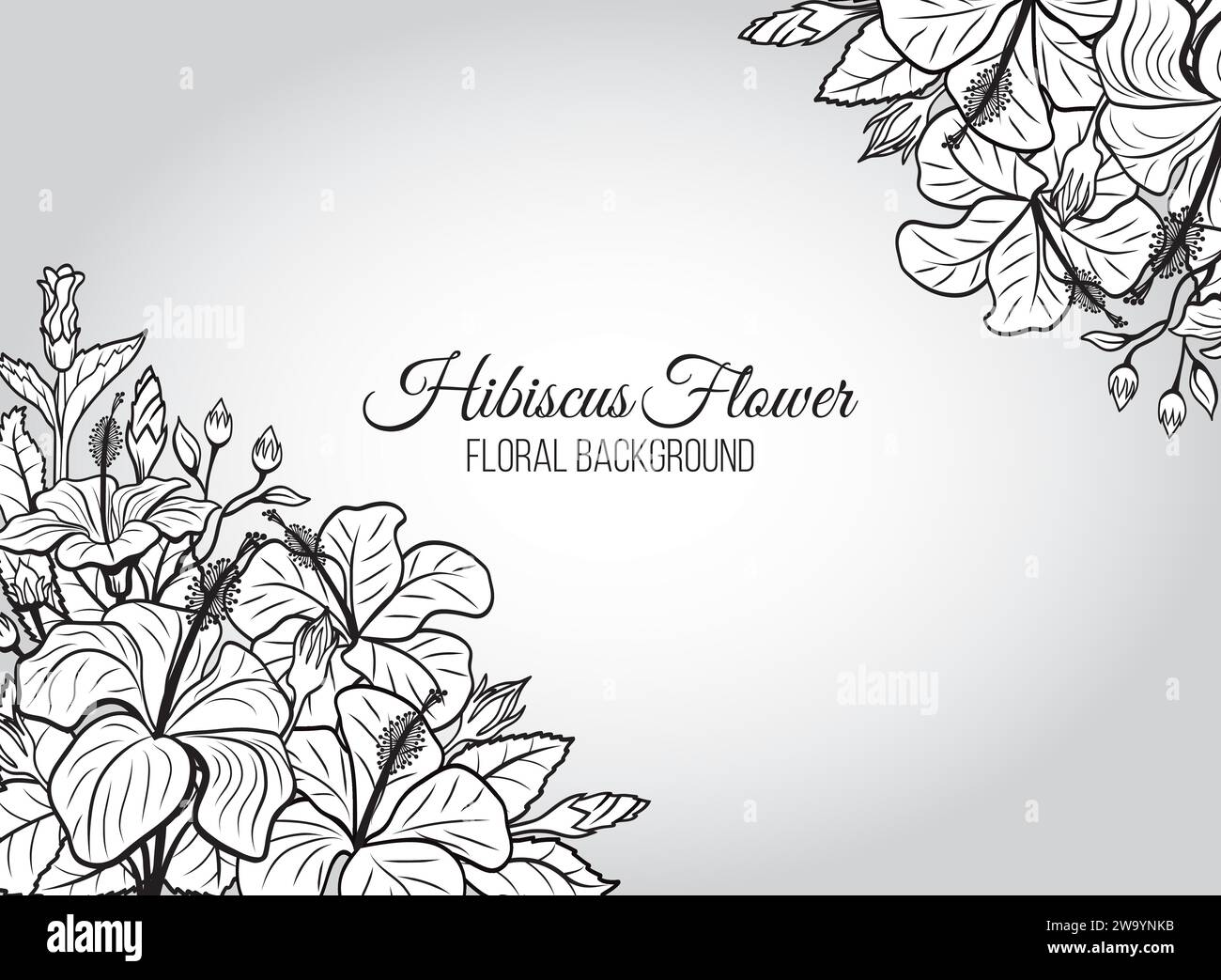 Hibiscus Flower Floral Black White Background Stock Vector Image & Art
