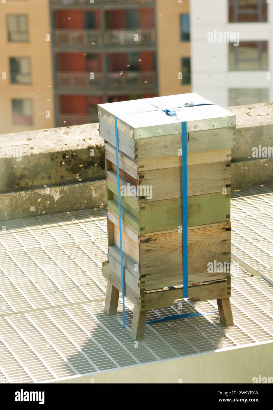Newcastle upon Tyne: 3rd June 2023. Urban beekeeping on city centre rooftop Stock Photo